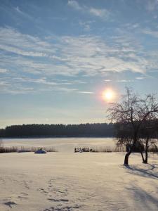 Ein Baum auf einem schneebedeckten Feld, die Sonne am Himmel in der Unterkunft Atari Apartment in Ropažu Sala