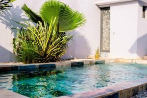 a swimming pool in front of a house with plants at MILLENIUM SUITES - Piscine privée in Yamoussoukro +4 photos