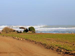 a dirt road next to the ocean with waves at Pool view apartment, beach access, nature & quiet in Mansouria
