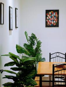 a plant sitting next to a wooden table at Pool view apartment, beach access, nature & quiet in Mansouria