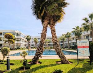 a palm tree in front of a swimming pool at Pool view apartment, beach access, nature & quiet in Mansouria