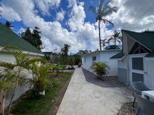 a driveway leading to a house with a palm tree at Hostel La Bohème in Las Terrenas