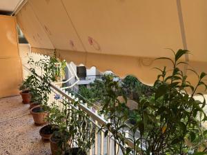 a balcony with a bunch of potted plants at KATERINA's House in Preveza