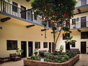 a courtyard of a building with a tree in it at Hotel San Miguel in Morelia