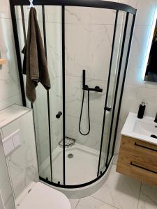 a bathroom with a shower with a toilet and a sink at Domek Wśród Pól z Balia Jacuzzi in Rawa
