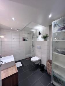 a bathroom with a toilet and a sink and a shower at Modern Luxplace with Northern Light view in Tromsø +33 photos