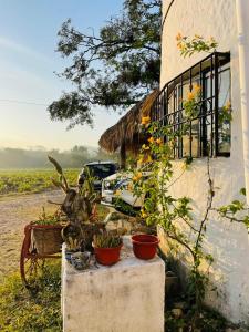 a house with plants and a car parked next to it at Rincón San Jerónimo in Tamasopo