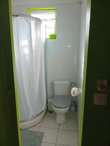 a small bathroom with a toilet and a shower at Bungalow nature zen in Le Gosier