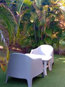 two white chairs and a table in front of palm trees at Bungalow nature zen in Le Gosier