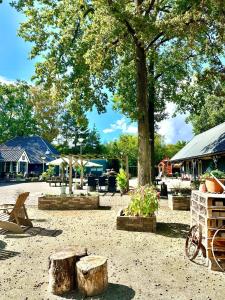 a park with trees and picnic tables and benches at Gasterij Hotel Dennenoord in Boxtel