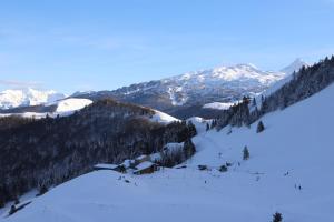 a snow covered mountain with a cabin in the snow at Appartement neuf climatisé in Aramits