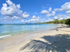 a view of a beach with trees and the ocean at Hauts de Caritan in Sainte-Anne +12 photos