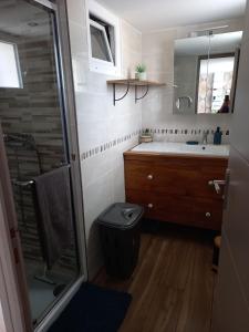 a bathroom with a shower and a toilet and a sink at Maison agréable à Oléron in Dolus-d'Oléron +11 photos