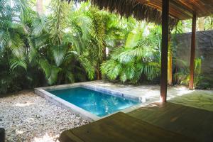 a swimming pool in the middle of a garden at Makena Hotel in Icaraí