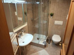 a bathroom with a shower and a sink and a toilet at Haus Hagspiel in Hittisau +142 photos