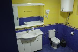 a bathroom with a sink and a toilet and a mirror at Apartments Peka in Dušanovac (historical)