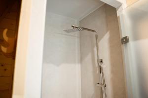 a shower with a shower head in a bathroom at Zelemin House in Skole +14 photos