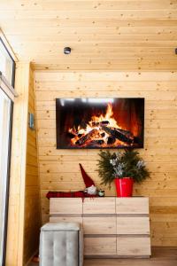 a fireplace in a room with a wooden wall at Zelemin House in Skole