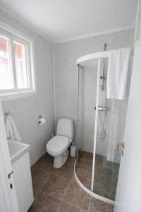 a bathroom with a toilet and a shower in it at Eide Apartments Odda in Odda