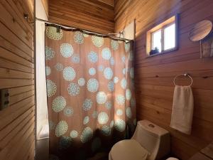 a bathroom with a shower with a toilet and a shower curtain at Ventana al Castillo in Villa Cerro Castillo +14 photos