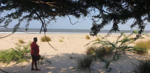a man standing on a beach looking at the ocean at Wakesho Apartment A in Malindi