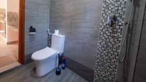 a bathroom with a toilet and a shower at Wakesho Apartment A in Malindi