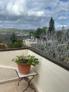a potted plant sitting on the ledge of a balcony at Nof Harim נוף הרים in Even Menahem