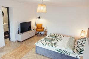 a bedroom with a bed and a tv and a chair at IUGAs RESIDENCE in Sighetu Marmaţiei
