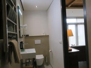 a bathroom with a sink and a toilet and a window at Hof van Kleeberg in Mechelen