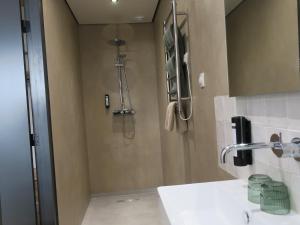 a bathroom with a shower and a white sink at Hof van Kleeberg in Mechelen