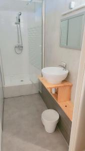 a bathroom with a sink and a toilet and a shower at Hôtel 2 Gares in Nevers