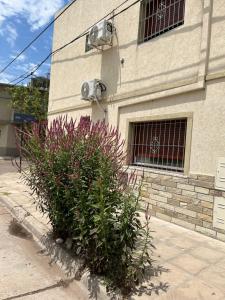 a building with a flower bush in front of a building at El Buen Descanso in Gualeguaychú