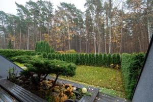 a view of a garden from a window at Beachside Studio with Private Garden & Terrace 100m to the beach in Jūrmala