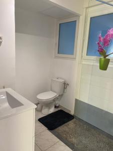 a bathroom with a toilet and a sink and a window at Le rendez-vous des 2 amants in Romilly-sur-Andelle +10 photos