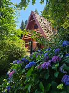 a garden with purple flowers in front of a cabin at Twin Forest, riverside cabin in Brod na Kupi
