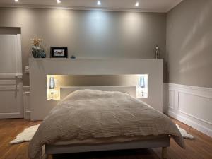 a bedroom with a bed with a fireplace in it at Chambre dans demeure de caractère in Missy-sur-Aisne