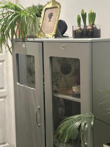 a grey cabinet with plants and a mirror on top at Casa Balcones in Sahagún