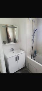 a bathroom with a sink and a mirror and a shower at Chambre avec vue panoramique in Cachan
