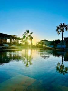 a pool with palm trees and the sunset in the background at La Villa DUCASSE - Piscine, pétanque, calme à Essaouira in Essaouira