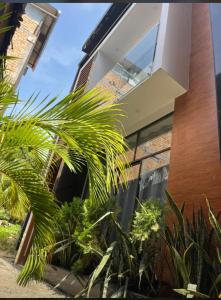 a house with palm trees in front of it at Casa Navarro de paris in Tarapoto