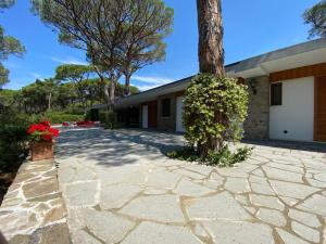 a house with a tree and a stone driveway at Villa Rocchetta in Casa Mora