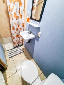a bathroom with a toilet and a sink at Hospedaje Combi dream bird in Guanacaste +32 photos