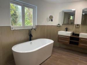 Gallery image of LF Jungle Retreat in Port Antonio