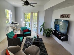 a living room with a couch and a tv at Penthouse Suite - Chez Mango Villa in Olveston