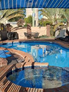 a large swimming pool with blue water at Macintyre Motor Inn in Goondiwindi