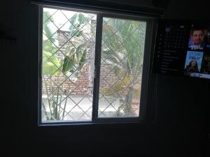 a window with a view of a tree outside at Ciudad del Valle Departamento C in Tepic