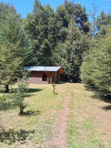 a cabin in the middle of a field with trees at Cabaña borde rio in Pucón