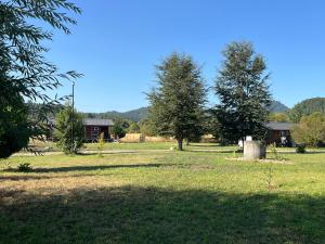 a field with trees and houses in the distance at Cabaña laurel lago panguipulli in Cozcoz