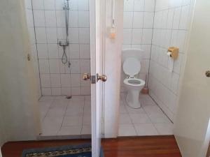 a bathroom with a shower and a toilet at Lotus Appartementen Nickerie in Majoor Fernandes +5 photos