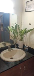 a bathroom sink with a potted plant on a counter at Puthooram Veedu in Chakkarakkal